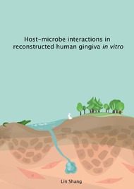Host‐microbe interactions in reconstructed human gingiva in vitro